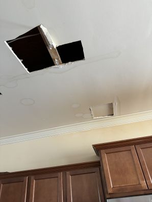 Ceiling Repair & Painting in Gastonia, NC (3)
