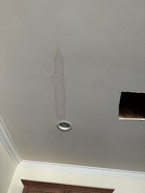 Ceiling Repair & Painting in Gastonia, NC (2)
