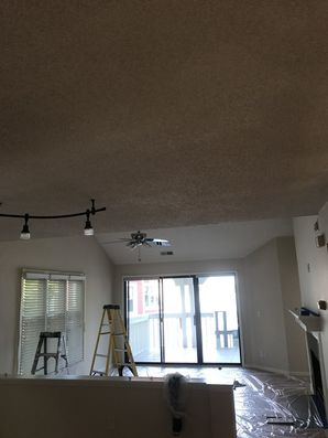 Ceiling Repair in Charlotte, NC (8)